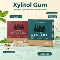 Gommes à mâcher reminéralisantes au xylitol sans sucre, saveur menthe cannelle, soin buccal