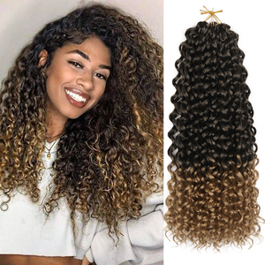 AliLeader GoGo ricciolo 10-24 pollici <span class=keywords><strong>capelli</strong></span> ricci all'uncinetto per donne nere mossi spiaggia riccioli onda acqua intrecciatura sintetica <span class=keywords><strong>extension</strong></span> <span class=keywords><strong>capelli</strong></span> - Product Image 1