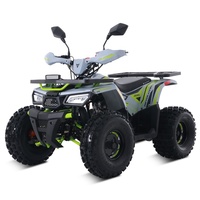 Tao Motor 2024 ferme tout-terrain pas cher alimenté au gaz Cuatrimoto quadricycle automatique 4 temps moteur 110cc 125cc ATV pour enfants