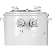Transformateur de distribution monophasé monté sur poteau 15 kVA 13,2 kV/230 V 60 Hz IEC 60076 OEM ODM pour le réseau électrique des Philippines