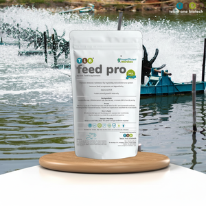 Mejora de la conversión alimentaria Probióticos para especies acuáticas - Product Image 1