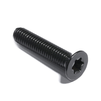 Vis de machine Torx à tête fraisée plate en acier inoxydable 304, oxyde noir, ISO14581, M1.6 M2 M2.5 M3 M4 M5 M6