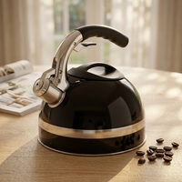 Théière moderne à fond d'induction avec bouilloire à sifflet en acier inoxydable 3L avec poignée en bakélite Conception d'ustensiles de cuisine