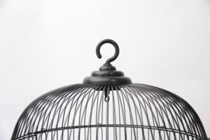 Özel taşınabilir açık küçük ve orta ölçekli lüks papağan görüntüleme kuş kafesleri metal kuş kafesi fabrika fiyat indirim - Product Image 3