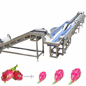 Clasificación de Frutas y Verduras en Planta de Procesamiento: Manzana, Melón, Almejas, Piña, Nueces, Nuez, Tomate, Fruta de Color, Fruta de Color Masacre, Fruta de Color Cashew, Kiwi - Product Image 2