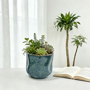 Personnalisation professionnelle de grands pots de plantes en céramique, ensembles de petits pots de fleurs en céramique pour fleurs décoratives - Product Image 4