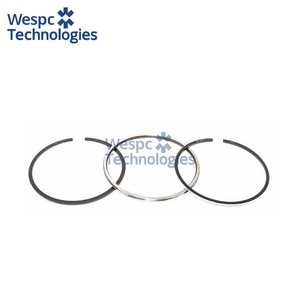 Jeu de segments de piston WESPC 4181A101 pour moteur diesel Perkins série 700 704.26 704.30, machines agricoles, générateurs, engins de construction - Product Image 1