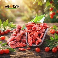 Baies de Goji Rouges de Ningxia Récolte Fraîche 2026, Approvisionnement en Gros, Baies de Goji Séchées pour Marque Privée OEM, Prix de Gros