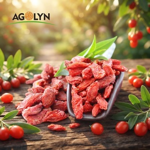 Bayas <span class=keywords><strong>de</strong></span> Goji Rojas <span class=keywords><strong>de</strong></span> Ningxia, Cosecha Fresca 2026, Suministro a Granel, Wolfberry Seco para Marca Privada OEM, Precio al por Mayor - Product Image 1