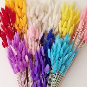 Déstockage d'usine : Herbe à queue de lapin séchée du Yunnan, fleur éternelle 035, en <span class=keywords><strong>sac</strong></span> OPP transparent - Product Image 2