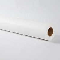 Film de transfert DTF pour presse à chaud, auto-déchirable, séchage rapide, papier de sublimation en rouleau pour T-shirt avec logo personnalisable
