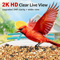 Mangeoire à oiseaux intelligente 2026 avec caméra, alimentée par énergie solaire, étanche, HD, pour l'identification des oiseaux et l'observation des oiseaux en extérieur dans votre jardin