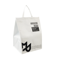 Nouveau modèle Sac isolant style velcro Sac à emporter en feuille d'aluminium isolée non tissée écologique PP