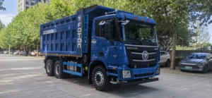 Camión Volquete Foton 6x4 Usado Barato con Euro 3, Camión Pesado Barato en Venta, Combustible Diésel, Motor Weichai, Marca Foton - Product Image 6
