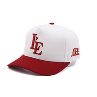 Casquette de baseball personnalisée à 5 panneaux pour papa, motif fruité sportif en popeline, logo brodé 3D, course à pied, sport, homme