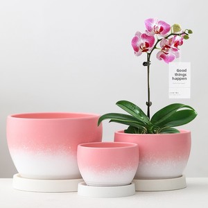 Pot <span class=keywords><strong>de</strong></span> fleurs en céramique pour tulipes, plumerias et succulentes - Grande taille <span class=keywords><strong>haut</strong></span> <span class=keywords><strong>de</strong></span> <span class=keywords><strong>gamme</strong></span> avec plateau - Offre spéciale liquidation - Product Image 3