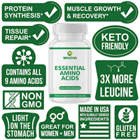 Capsules d'acides aminés essentiels OEM/ODM – Tous les 9 pour la récupération et la croissance musculaire – Mélange complet d'EAA – 2 capsules par dose – Fitness