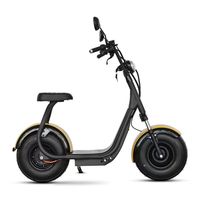 La última bicicleta eléctrica más vendida en Brasil, 1000W Electric Fat Tire Small Harley 60V12AH Batería de plomo-ácido
