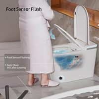 Toilette intelligente moderne à poser au sol, allongée, avec drainage en S, télécommande, pour appartement