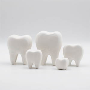 Soporte de marco de fotos de cerámica de dientes de anatomía dental personalizado, acepta todas las personalizaciones en forma/tamaño/color molar - Product Image 2