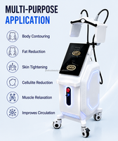 Appareil de Remodelage Corporel Non Invasif pour la Réduction de la Graisse du Ventre et la Dissolution de la Cellulite