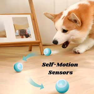 Jouet interactif pour chien et chat, balle roulante intelligente silencieuse en caoutchouc de luxe, rechargeable par USB - Product Image 5