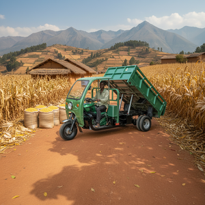 Tricycle motorisé 200CC à 3 roues pour le transport de marchandises, véhicule agricole à benne basculante <span class=keywords><strong>grande</strong></span> capacité pour la vente - Product Image 3