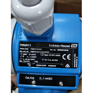 Medidor de Flujo Electromagnético Endress+Hauser Promag P 10W 45mm 24V DC IP67 NEMA 4X - Product Image 5