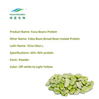 Poudre de protéine de fève 100% pure à base de plantes en vrac, prix de gros protéine de fèves fèves pour supplément