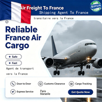 Agent de logistique de fret, service aérien vers la France, Nice, transitaire, livraison de marchandises, transport, entrepôt