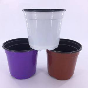 <span class=keywords><strong>Macetas</strong></span> de flores de plástico, <span class=keywords><strong>para</strong></span> vivero, flores, suculentas - Product Image 1