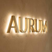 Lettres en acier inoxydable éclairées par halo, étanches IP65, pour enseignes de hall d'hôtel et devantures de magasins, vente en gros, fabrication OEM ODM