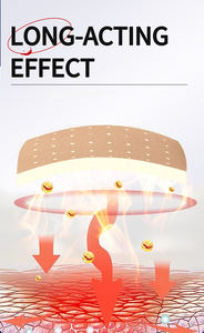 Produk Pereda Nyeri Ekstrak Capsaicin & Mugwort Terlaris 2026 untuk Pengelolaan Nyeri yang Efektif - Product Image 3