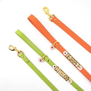 Grosir Set tali dan kerah anjing tahan air berlapis PU kerah biru hijau multiwarna Logo khusus mewah dengan Tag nama - Product Image 3