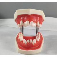 Fil de ligature et cire rouge pour modèle de pratique orthodontique - Outil de formation en compétences dentaires