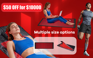 ODM OEM 1800X600X5Mm Máy Tính Để Bàn Pet Trị Liệu Mat 1540 Đèn <span class=keywords><strong>LED</strong></span> <span class=keywords><strong>Pdt</strong></span> Máy Con Ngựa Con Chó Hồng Ngoại Màu Đỏ Điều Trị Chăn Cho Cơ Thể - Product Image 2