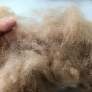 Wool Hair Wholesale Price Supersoft Dehaired Camel Hair/camel Wool