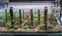 Chine Fabricant Bois Droit Aquarium Driftwood Bali