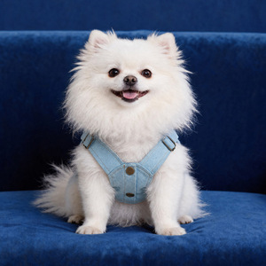 PETCIRCLE ชุดเอี๊ยมสุนัขและแมวน่ารักสำหรับฤดูใบไม้ผลิ/ฤดูร้อน แบบไม่มีแขน พร้อมกระโปรงยีนส์ผูกโบว์สุดสวย - Product Image 2