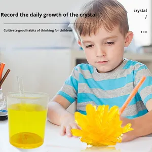Kit de experimento de crecimiento de cristal DIY de ingeniería científica para niños, formación de 5 días, química de comunicación entre padres e hijos - Product Image 1