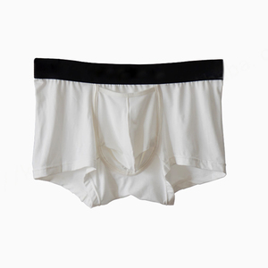 Private Label New Design Mid Rise <b>Boxer</b> Elastic Band Short Solid Modal Sport Breathable Man Briefs and <b>Boxers</b> with Front Pouch - Product Image 4