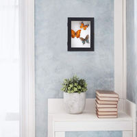 Nouvelle Vitrine de Taxidermie Papillon en Bois avec Porte en Verre Transparent, Boîte de Rangement pour Spécimens d'Insectes, Décoration Murale ou de Table
