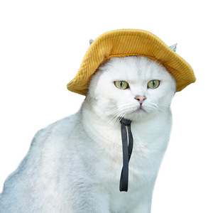Chongtapet - Sombrero de vaquero monocromático para mascotas, sombrero de verano para gatos, para uso en exteriores - Product Image 5