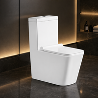 Sanitaires en porcelaine chinoise, WC en céramique moderne, cuvette de toilette sans bride, chasse d'eau en une seule pièce pour salle de bain