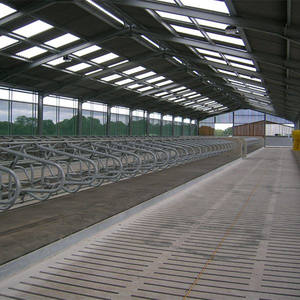 Structure en acier préfabriquée pour hangar à vaches, ossature portique, installation rapide, pour élevage de bovins - Product Image 3