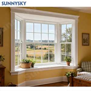 Sunnysky Custom36x60 <span class=keywords><strong>Fenêtre</strong></span> à triple glaçure en aluminium thermique noir de haute qualité Fenêtres à guillotine simple et double pour villa maison - Product Image 1