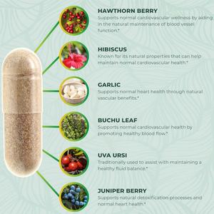 Suplementos OEM para Pressão Arterial com Fruto de Espinheiro, Hibisco e Alho - Saúde do Coração, Saúde da Circulação - Product Image 3