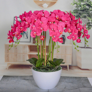 Florero de decoración del hogar planta viva terciopelo blanco en maceta Yaleen <span class=keywords><strong>flores</strong></span> <span class=keywords><strong>artificiales</strong></span> Phalaenopsis Orquídeas Moradas 70cm maceta de orquídeas falsas - Product Image 2