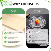 Assiette jetable en bois compostable écologique avec plateau, design moderne pour restaurants (vente en gros)