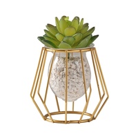 Vase hydroponique de luxe léger doré, écologique, créatif, pour la maison et le bureau, conteneur pour plantes aquatiques, décoration moderne en verre pour table